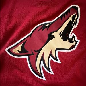 Vintage Arizona Coyotes L Reebok Max Domi Jersey Stitched Number and Nameplate